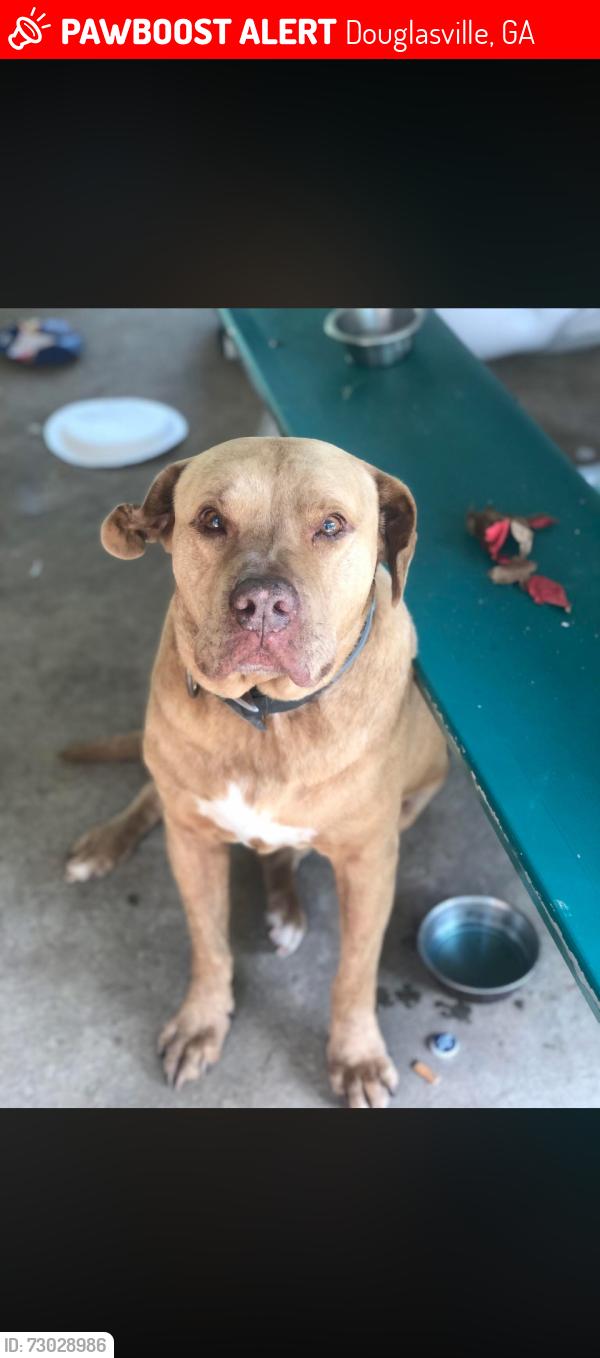 Lost Male Dog last seen John west road, Douglasville, GA 30187