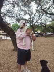 Lost Male Dog last seen Ware road, McAllen, TX 78504