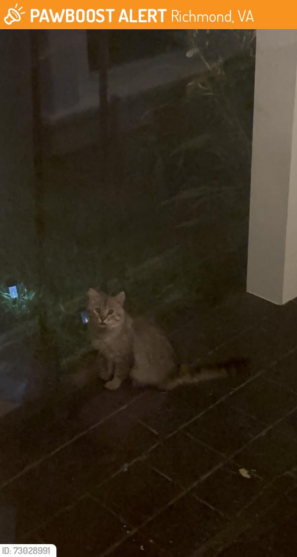 Found/Stray Unknown Cat last seen Corner of Northumberland and Brookland Park, Richmond, VA 23220