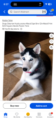 Found/Stray Unknown Dog last seen Katella stadium way , Anaheim, CA 92806