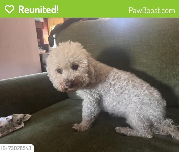 Reunited Female Dog last seen Thompson Place, Santa Clara, CA 95050
