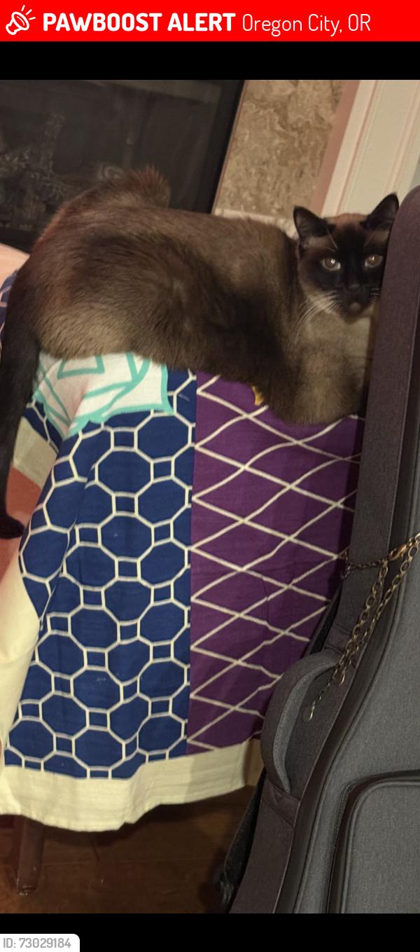 Lost Male Cat last seen Pease road, leland, Oregon City, OR 97045