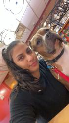 Lost Male Dog last seen Atlanta ave, Atlanta, GA 30315
