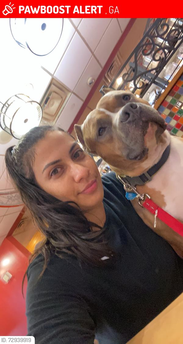Lost Male Dog last seen Atlanta ave, Atlanta, GA 30315