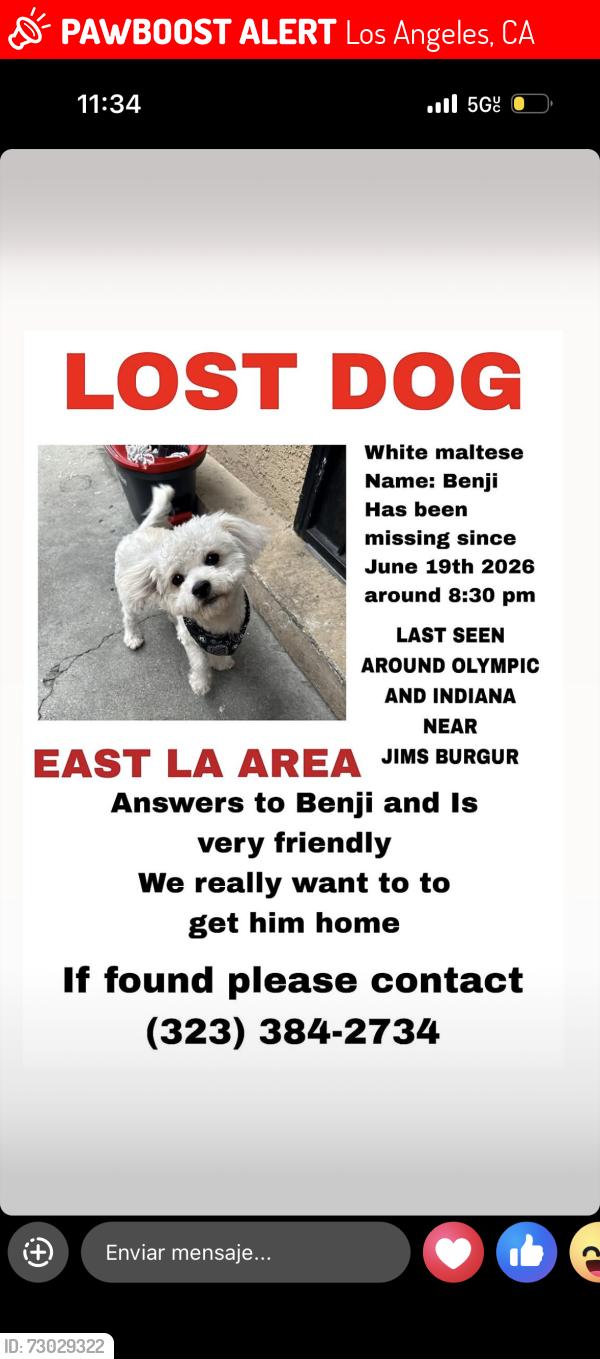 Lost Male Dog last seen Visto por última vez en Olympic y indiana st, Los Angeles, CA 90023