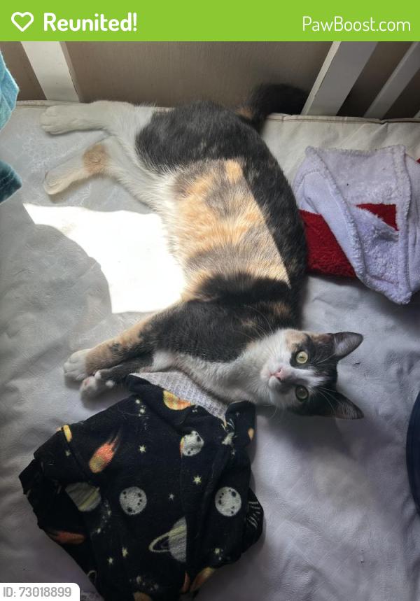 Reunited Female Cat last seen North cliff hill , Sioux Falls, SD 57104