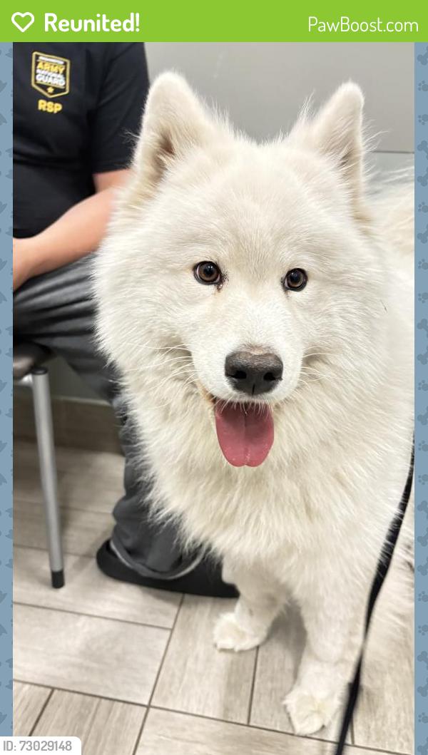 Reunited Female Dog last seen 47th ave 108th , Lakewood, WA 98499