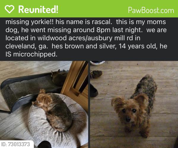 Reunited Male Dog last seen Near Wildwood Acres Rd, Cleveland, GA 30528, USA, Cleveland, GA 30528