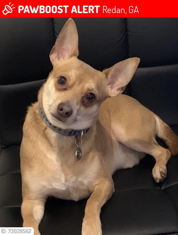 Lost Male Dog last seen circle stone , Redan, GA 30088