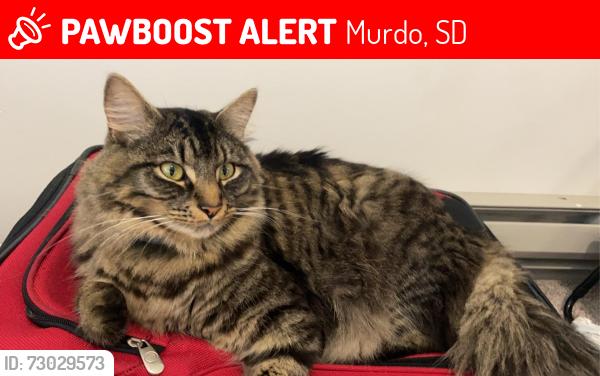 Lost Male Cat last seen Murdo, Murdo, SD 57559