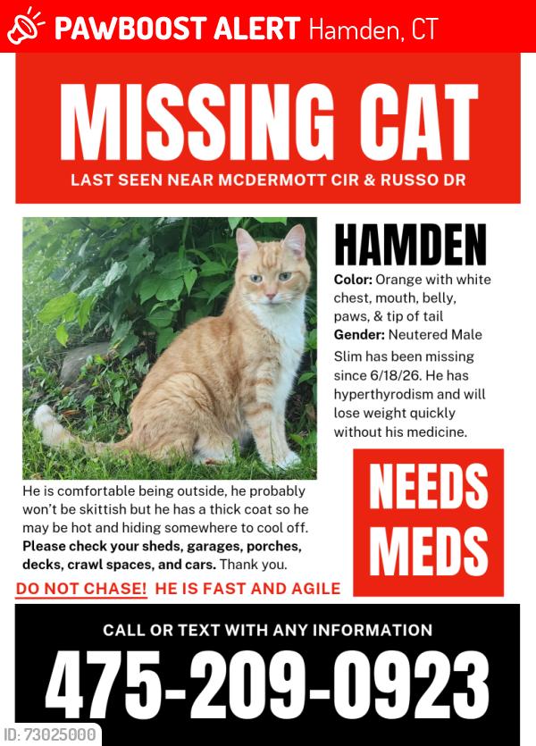 Lost Male Cat last seen West Woods Rd and Russo Dr, Hamden, CT 06518