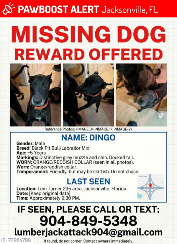 Lost Male Dog last seen Walmart area north Lem Turner, Jacksonville, FL 32218