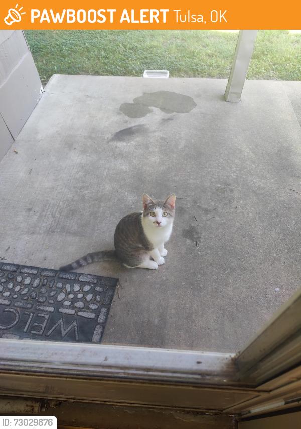 Found/Stray Male Cat last seen 21st and memorial, Tulsa, OK 74112