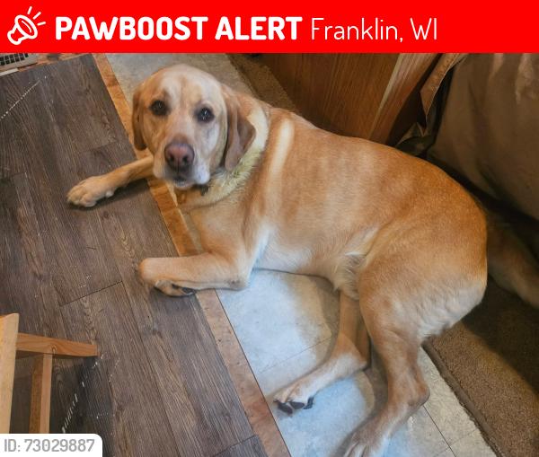 Lost Male Dog last seen By the franklin public library, Franklin, WI 53132