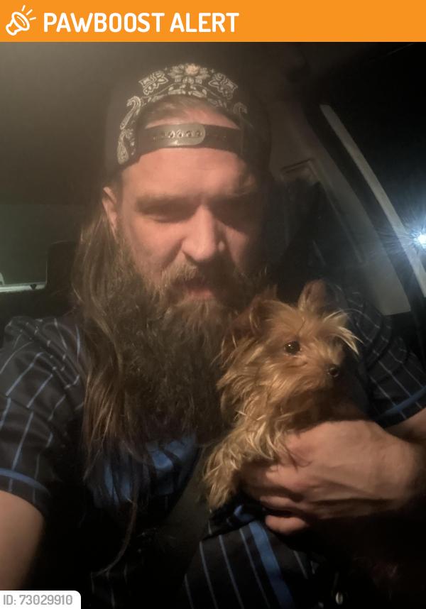 Found/Stray Male Dog last seen Pecan Street , West Sacramento, CA 95691