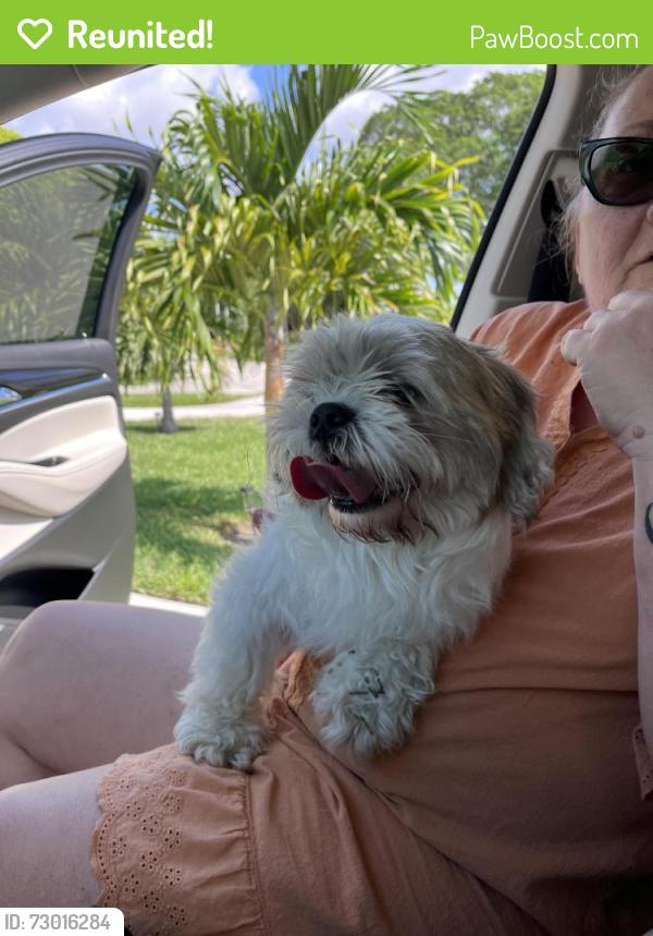 Reunited Male Dog last seen Riverside and holly, Palm Beach Gardens, FL 33410