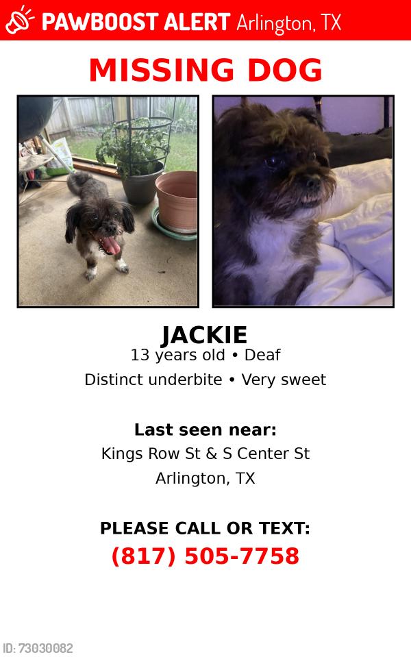 Lost Female Dog last seen Kings Row St & S Center St , Arlington, TX 76010