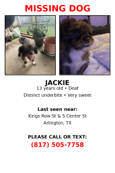 Lost Female Dog last seen Kings Row St & S Center St , Arlington, TX 76010