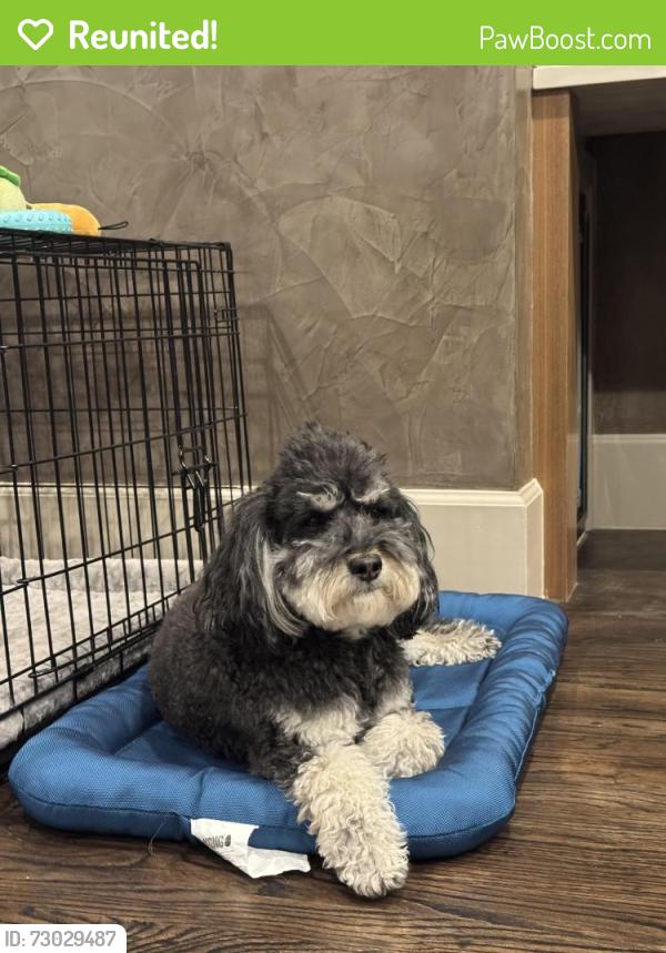 Reunited Male Dog last seen Near Wanderwood Way , Sandy, UT 84070
