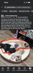 Lost Male Dog last seen Bluegrass Lane and SW 4th Street, Yukon, OK 73099