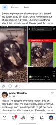 Lost Female Dog last seen Jackson st bim pasadena, Pasadena, TX 77506