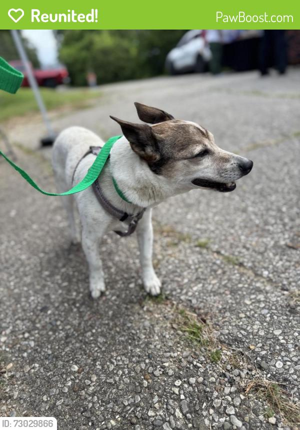 Reunited Female Dog last seen Delhi Park on Foley near the lake, Cincinnati, OH 45238