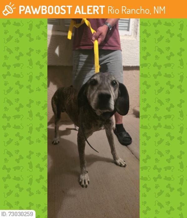 Found/Stray Male Dog last seen Jessica Dr. and Bailey Way, Rio Rancho, NM 87144