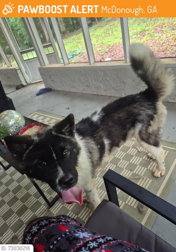 Found/Stray Male Dog last seen Near way stop, McDonough, GA 30253
