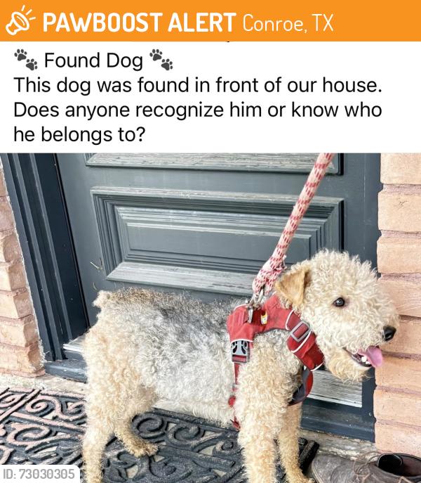 Found/Stray Male Dog last seen Lily Blvd and N Thompson, Conroe, TX 77301
