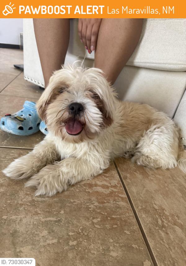 Found/Stray Male Dog last seen Near Willow Trce Los Lunas New Mexico 87931, Las Maravillas, NM 87031