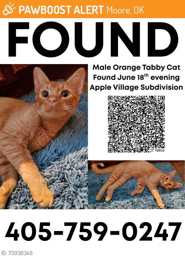 Found/Stray Male Cat last seen sw 34th and eastern Moore OK, Moore, OK 73160