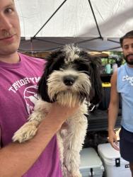 Found/Stray Male Dog last seen Walmart near Kerr Lake, Henderson, NC 27536
