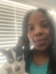 Reunited Male Dog last seen St.Cyr , St. Louis, MO 63137