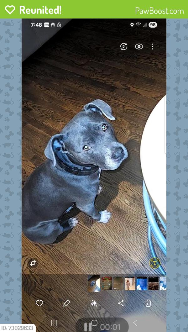 Reunited Female Dog last seen Barnard Elementary , Washington, DC 20011