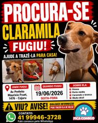 Lost Female Dog last seen Rua Nivaldo Braga esquina com Rua Antônio Meirelles Sobrinho, Capão da Imbuia, PR 82590-300