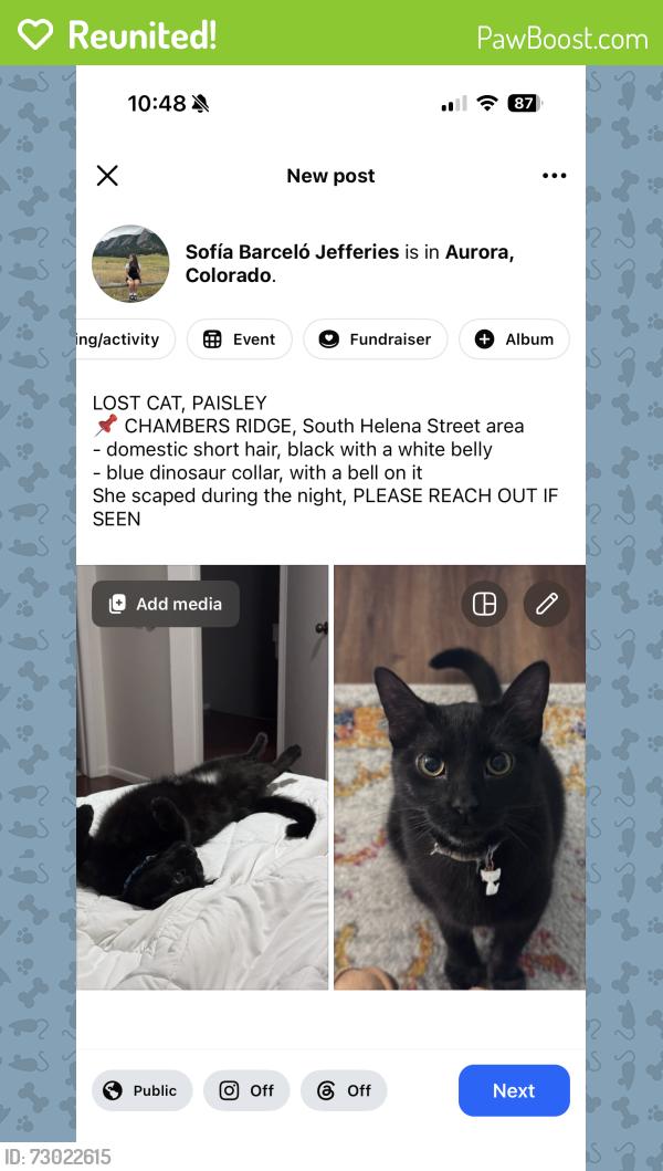 Reunited Female Cat last seen Near south helena street, Aurora, CO 80013