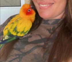 Reunited Unknown Bird last seen Los Coches Rd E and Calle De Buena Fe, Lakeside, CA 92021