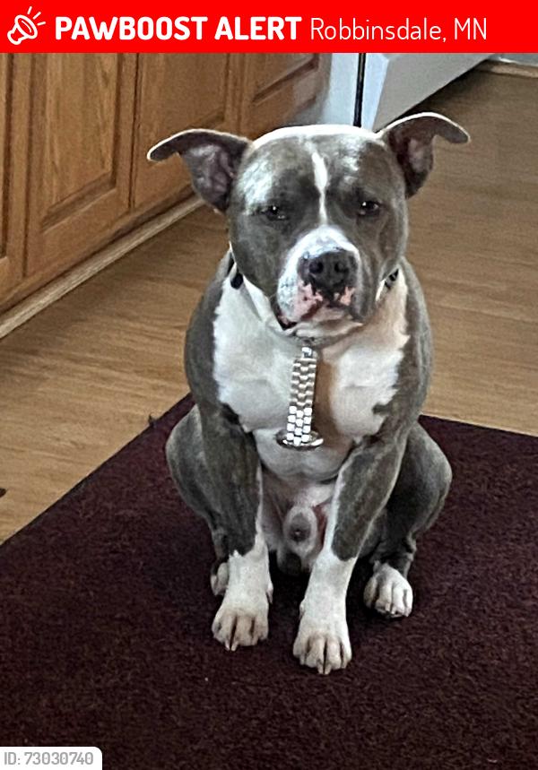 Lost Male Dog last seen LakeRoad Ave, Robbinsdale, MN 55422