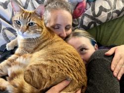 Lost Male Cat last seen NE 104th St and 136th Ave NE, Kirkland, WA 98033