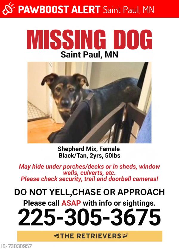 Lost Female Dog last seen Burger king, Saint Paul, MN 55117