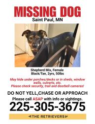 Lost Female Dog last seen Burger king, Saint Paul, MN 55117