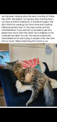Lost Male Cat last seen Marine Dr & Interstate 5, Portland, OR 97217