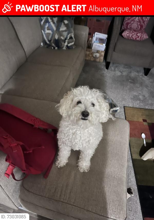 Lost Female Dog last seen Central and Eubank at Manzano Mesa apmts, Albuquerque, NM 87123