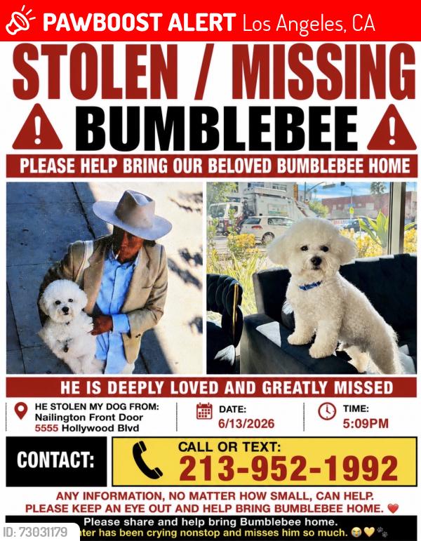 Lost Male Dog last seen Near s los angeles st, Los Angeles, CA 90013