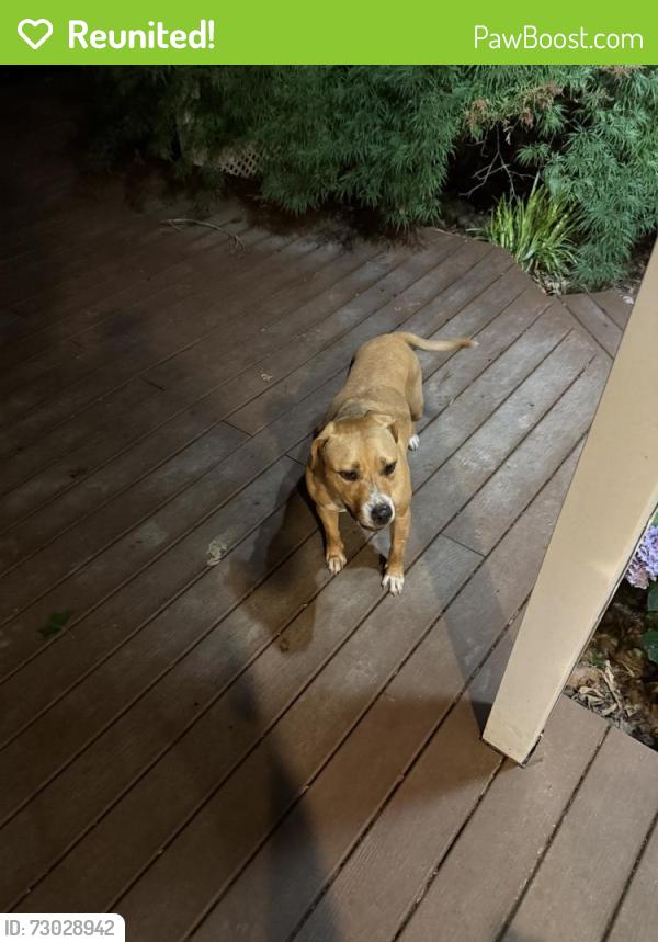 Reunited Unknown Dog last seen Mill hse lane, Matthews, NC 28104