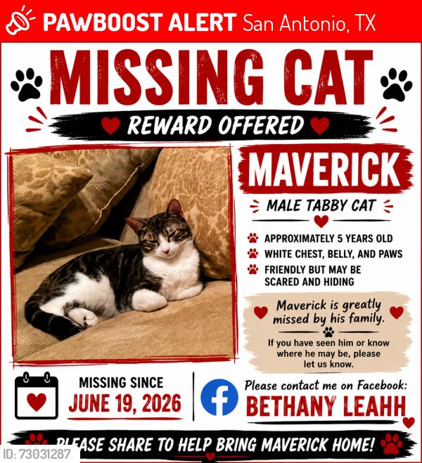 Lost Male Cat last seen Bulverde rd , San Antonio, TX 78259