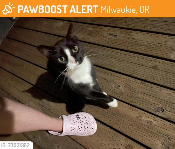 Found/Stray Unknown Cat last seen Near se Linwood Ave, Milwaukie, OR 97222
