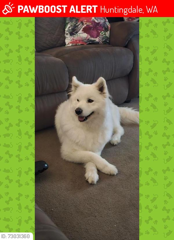 Lost Female Dog last seen Harpenden, Huntingdale, WA 6110