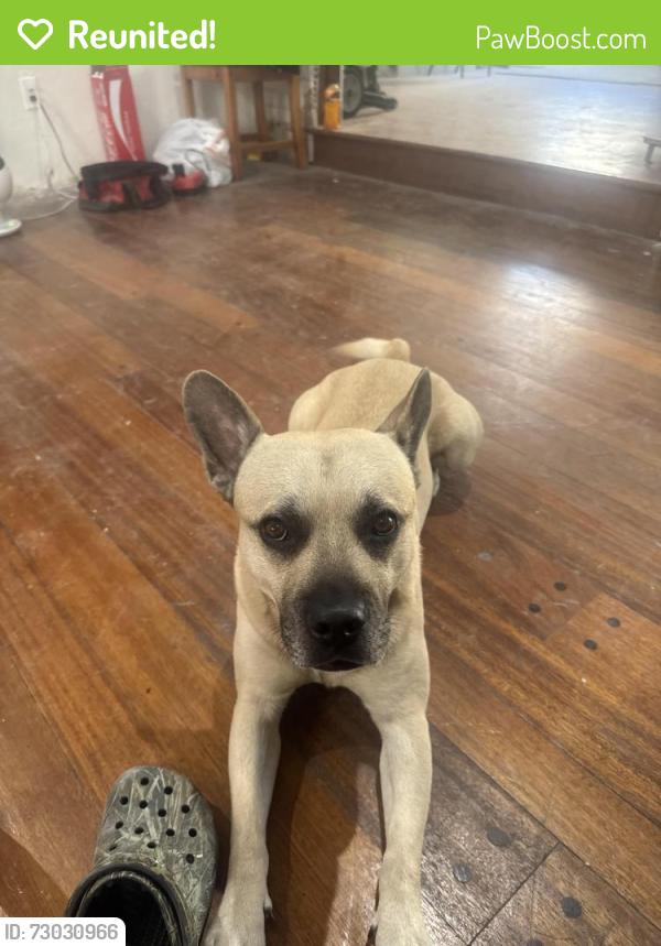 Reunited Male Dog last seen State St, Huntington Park, CA 90255