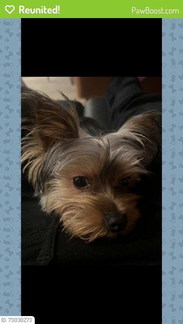Reunited Male Dog last seen Ran out my apmt door across Santa Anita Mall, Arcadia, CA 91006